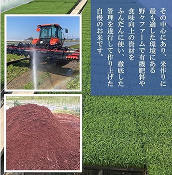 Amazon.co.jp: 雪若丸 (玄米10kg) 令和7年 新米 山形県庄内産